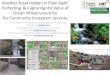 Perfecting & Capturing the Value of Green Infrastructure for for … · 2012. 12. 18. · Another Asset Hidden in Plain Sight: Perfecting & Capturing the Value of Green Infrastructure