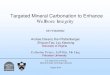 Targeted Mineral Carbonation to Enhance Wellbore Integrity DE … · 2018. 12. 7. · – H. Ismail, R. Shamsudin et al. (2013). Synthesis and Characterization of Nano - Wollastonite