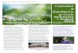 Newsletter · Web viewCatisfield Gardening Club Newsletter August 2018 | 2 Masthead Catisfield Gardening Club Issue Date “they say california does not have seasons! that is not
