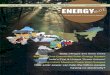 ergy november - Ganga Action Parivar | Clean Ganga. Green ...renewable energy source is not only abundant in many parts of India's tropical climate but the solar energy harvesting