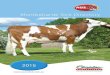 Montbeliarde Sire Directory - Welcome to AuzRed XB...Welcome to our 2015 Sire Directory: Success of the Coopex Montbeliarde Genomic program has seen CRASAT become No.1 and ELASTAR
