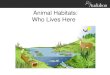 Animal Habitats: Who Lives Here? - John James Audubon ......Habitats A habitat is an animal’s home. It has food, water, shelter, and space for the animal. Where is the worm’s home?