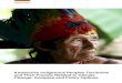 Amazonian Indigenous Peoples Territories and Their Forests ......our analysis considers all Brazilian IT as legally recognized. In addition, RAISG estimates In addition, RAISG estimates