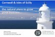 Cornwall & Isles of Scilly the natural place to grow...3. Seminar Business Planning Focus: • Governance – RUK FLOW WG – FLOW(GSWW) TF • Projects – WaveHub, Pembroke, 300MW