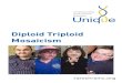 Diploid Triploid Mosaicism FTNW - Rare Chromo Topics...In trisomy there is an extra copy of just one chromosome, making a total of 47. Down syndrome is an example of trisomy, with