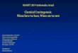 MASOT 2019 Ambassador Award Chemical Carcinogenesis: …...• Specifically examine possible mechanisms for the action of Nongenotoxic carcinogens on tumor development and modulation