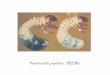 Paenibacillus popilliae（乳化病） - 北海道大学lab.agr.hokudai.ac.jp/byoriken/IP/Pop.pdfBpR3 5'-gtaaattaacttctgc 355- 370 BpF4 5'-gcagaagttaatttac 355- 370 BpR4 5'-tgaaattgaaagttccc