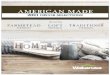 2021 DÉCOR SELECTIONS - Clayton Wakarusa · 2021. 1. 29. · 2021 DÉCOR SELECTIONS. NEW GUINNESS DARK Décor Package S WARREN DUNES -MAIN WALL T/O TOWN & COUNTRY BRICK -KITCHEN