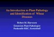 An Introduction to Plant Pathology and Identification of Wheat … · 2015. 9. 17. · and Identification of Wheat Diseases Robert M. Harveson Extension Plant Pathologist Panhandle