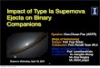 Impact of Type Ia Supernova Ejecta on Binary Companionscharm.cs.uiuc.edu/workshops/charmWorkshop2011/...Main-Sequence &White Dwarf channel (Hachisu et al. 2008) Red Giant & White Dwarf