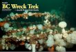 BC Wreck TrekCanada’s · 2015. 12. 13. · over coastal BC and sites purposely cre-ated by the placement of retired military ships to attract divers. Most are easily accessible