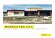 MARKED FOR LIFE - Amnesty InternationalMARKED FOR LIFE DISPLACED IRAQIS IN CYCLE OF ABUSE AND STIGMATIZATION REPLACE THE SAMPLE IMAGE WITH YOUR OWN IMAGE. COVER IMAGES MUST ALWAYS