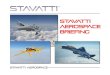 Stavatti Aerospace BRIEFING...• The 1M Plant is designed to manufacture 3 or more Stavatti aircraft models simul taneously under one roof and could serve as Headquarters to Stavatti