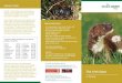 More stoat facts - Vincent Wildlife Trust · 2015. 4. 7. · & Grainne Smyth); People and Nature Project (Elaine O’Riordan); National University of Ireland (Dr Colin Lawton) and