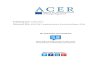 Publishing date: 13/01/2015...Document title: ACER CMP Implementation Monitoring Report 2014 Publishing date: 13/01/2015 We appreciate your feedback Please click on the icon to take