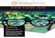 VIVID VISION 2020 - Conscious Copy & Co....VIVID VISION 2020 INTRODUCTION Building the business and life of your dreams requires a clear vision. Creating a Vivid Vision brings the