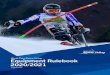 World Para Alpine Skiing Equipment Rulebook 2020/2021 · 2020. 9. 8. · World Para Alpine Skiing Adenauerallee 212-214 Tel. +49 228 2097-200 53113 Bonn, Germany Fax +49 228 2097-209