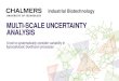 MULTI-SCALEUNCERTAINTY ANALYSIS · 2019. 5. 11. · Title: PowerPoint Presentation Author: Nickel, D., Fornell, R., Janssen, M. et al Subject: Bioethanol production processes from