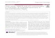 CK20 versus AMACR and p53 immunostains in evaluation of … · 2020. 5. 26. · Keywords: Urothelial carcinoma in situ, Cytokeratin 20, Alpha-methylacyl-CoA racemase Introduction