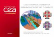 COLD STORAGE SYSTEM FOR SODIUM FAST REACTOR FLEXIBILITY Storage for Gen IV... · 2019. 7. 16. · A cold water storage (0.5°C in this study) is used to carry out the frequency control