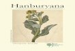Hanburyana - RHS · 2016. 2. 22. · Hanburyana Volume 5, June 2011 Hanburyana ISSN 1749-723X Published by: Science Dept, The Royal Horticultural Society, RHS Garden Wisley, Woking,