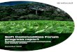 Soft Commodities Forum progress report · 2020. 12. 14. · Soft Commodities Forum progress report | December 2020 9 Why we do it Traceability is a critical milestone towards transparent