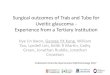 Surgical outcomes of Trab and Tube for Uveitic glaucoma - Experience from … · 2017. 6. 15. · 13% 9% Anterior Posterior/pan uveitis Intermediate Indeterminant Uveitis Site 0 5