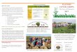 Useful over rop Websites ILLINOIS Why over rops? COVER CROPS · 2017. 10. 16. · manage cover crops in Illinois Useful over rop Websites ILLINOIS COVER CROPS Directory of Businesses