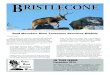 BRISTLECONEgbrw.org/wp-content/uploads/2019/12/Dec-2014-color-r.pdf · 2019. 12. 20. · Mule deer buck navigating obstacles near Kings Canyon, Nevada during the fall 2011 migration