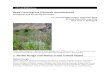 Reed Canarygrass (Phalaris arundinacea) ERSS · 2018. 9. 7. · 1 Reed Canarygrass (Phalaris arundinacea) Ecological Risk Screening Summary U.S. Fish & Wildlife Service, September