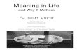 Meaning in Life - - Meaning in Life (excerpt).pdfآ  Princeton University in Nov. 2007. Includes bibliographical