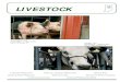 livestock - National Agricultural Statistics Service...“Just Hoggin Around” Photographer ~~ Saige Dunafin Age 9, La Grange, IN “Got Milk - I Do!” Photographer ~~ Matthew Miller