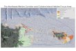 Mapas NEC WMP - DRNAdrna.pr.gov/wp-content/uploads/2018/02/Mapas-NEC-WMP-Letter-for-website.pdfPitahaya Legend NEC Subwatersheds Municipal Boundaries Protectores de Cuencas, Inc. Kilomete