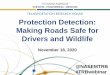 TRANSPORTATION RESEARCH BOARD Protection Detection: …onlinepubs.trb.org/onlinepubs/webinars/201118.pdf · 2020. 11. 18. · Protection Detection: Making Roads Safe for Drivers and