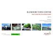 BLENHEIM TOWN CENTRE - Marlborough · Blenheim CBD Streetscape Final Report | Project Scope - Issues with Existing Street Furniture. There are many issues of performance, aesthetics