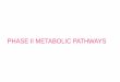 PHASE II METABOLIC PATHWAYS - جامعة البصرةpharmacy.uobasrah.edu.iq/images/stage_three/ORGANIC... · 2018. 3. 12. · metabolism for several reasons: 1- readily available
