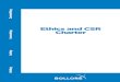 Ethics and CSR Charter - Bolloré Logistics...the CSR Department. The Committee is chaired by a member of the Group’s executive management and consists of the Chief Executive Officers