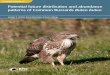 Potential future distribution and abundance patterns of ......Buzzard breeding range in England and forecast potential densities in 10-km squares using species distribution models