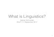 What is Linguistics? Psycholinguistics, Neurolinguistics Orthography Discourse Language acquisition