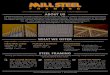 WHAT WE OFFER STEEL FRAMING · 2020. 1. 17. · ABOUT US Mill Steel Framing, formerly Steel Structural Products, offers a variety of metal framing products for the commercial and