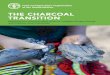 THE CHARCOAL TRANSITION · 2021. 2. 9. · 3 Wood charcoal production, worldwide and by region (Africa, Asia and South America), 1961–2015..... 20 4 Top ten charcoal producer countries,