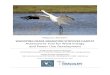 WHOOPING CRANE MIGRATION STOPOVER HABITAT ......Whooping Crane Migration Stopover Habitat Assessment Tool for Wind Energy and Power Line Development. Baraboo, WI and Washington, DC: