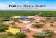 Pantera Hueca Ranch...Pantera Hueca Ranch is MLDP qualified with a wildlife management plan in place and it is protein and cotton seed fed year-round. Wildlife that can be found roaming