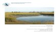 Implementation Progress Report: Peconic Estuary Program ......habitat and fish passage at Silver Lake/Moore’s Drain Alewife Access. - $150,000 Suffolk County Capital: These funds