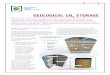 GEOLOGICAL CO2 STORAGE - Global CCS Institute · 2014. 3. 1. · GEOLOGICAL CO 2 STORAGE Storing carbon dioxide (CO 2) underground is not a new or emerging technology—it is an existing