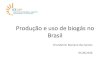 Produção(e(uso(de(biogás(no( Brasil(iee2.webhostusp.sti.usp.br/sites/default/files/cafe_debate_MARILIN-biogas.pdfProdução(e(uso(de(biogás(no(Brasil(Dra.Marilin(Mariano(dos(Santos((05.08.2016