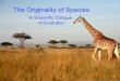 The Originality of Species - Special Creationof all species Continuous gradual change over huge time spans The Concept of Evolution