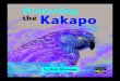 Protecting the Kakapo - Pearson Educationassets.pearsonschool.com/asset_mgr/current/201217/Kakapo... · 2016. 6. 14. · The hope is that someday there will be so many kakapo that