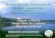 Natural Shoreline Landscapes on Michigan Inland Lakes · Michigan Inland Lakes Workshop for Property Owners . Chapter 4 Discussion . Design Ideas for Buffers Fish and Wildlife –