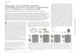 CILIA Flagellar microtubule doublet assembly invitro reveals a ......CILIA Flagellar microtubule doublet assembly invitro reveals a regulatory role of tubulin C-terminal tails M. Schmidt-Cernohorska